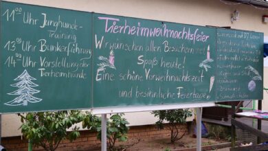 Tierheim Ladeburg - Weihnachten