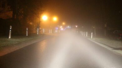 Barnim, Nebel, Morgen