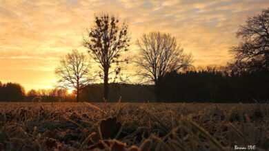 Barnim - Bernau -Sonnenaufgang