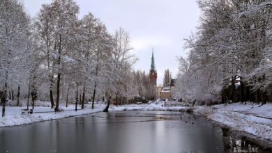 Veranstaltungstipps Bernau - Weihnachtsmarkt