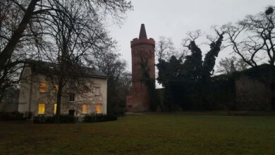Guten Morgen aus Bernau bei Berlin