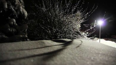 Bernau, Frost, Winter, Barnim, Schnee