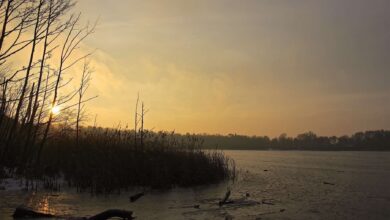 Bernau: Sonnenaufgang am Gorinsee