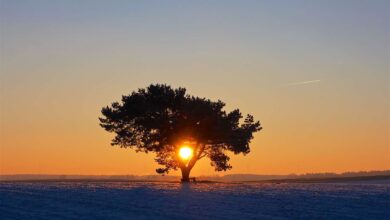 Sonnenaufgang in Bernau - Lobetal