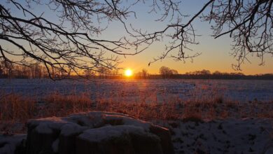 Bernau LIVE: Beinahe wäre ich erfroren - Guten Morgen