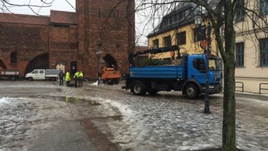 Bernau, Weihnachtsbaum auf dem Platz am Steintor