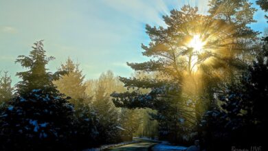 Guten Morgen, #Postkartenwinterwetter in Bernau und Drumherum