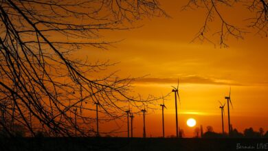 Sonnenaufgang in Bernau