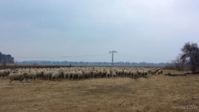 Bernau: Guten Morgen und danke an Tim