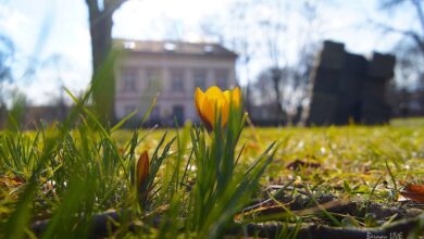 Wochenende in Bernau - unsere Veranstaltungstipps