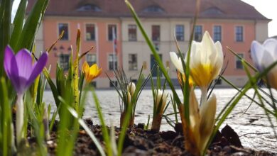 Bernau - Frühling