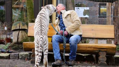 Da das "spielen" mit DIEGO und Tiger Heike langsam zu gefährlich wird, haben wir heute mal die Ruhe genutzt, um mit Renato Rafael und nem Käffchen in Hand ein wenig zu plaudern...