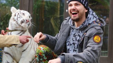 Tiger DIEGO - Freundin Heike wurde von Jimi Blue Ochsenknecht getauft 29 Tieger DIEGO - Freundin Heike wurde von Jimi Blue Ochsenknecht getauft