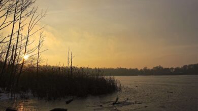 Sonnenaufgang Bernau - Guten Morgen