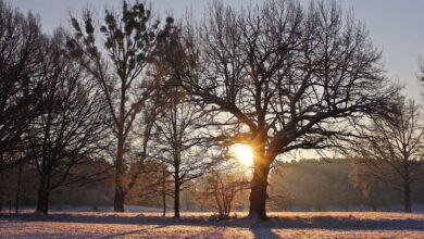 Mit viel Sonne und Tacker in den Tag!