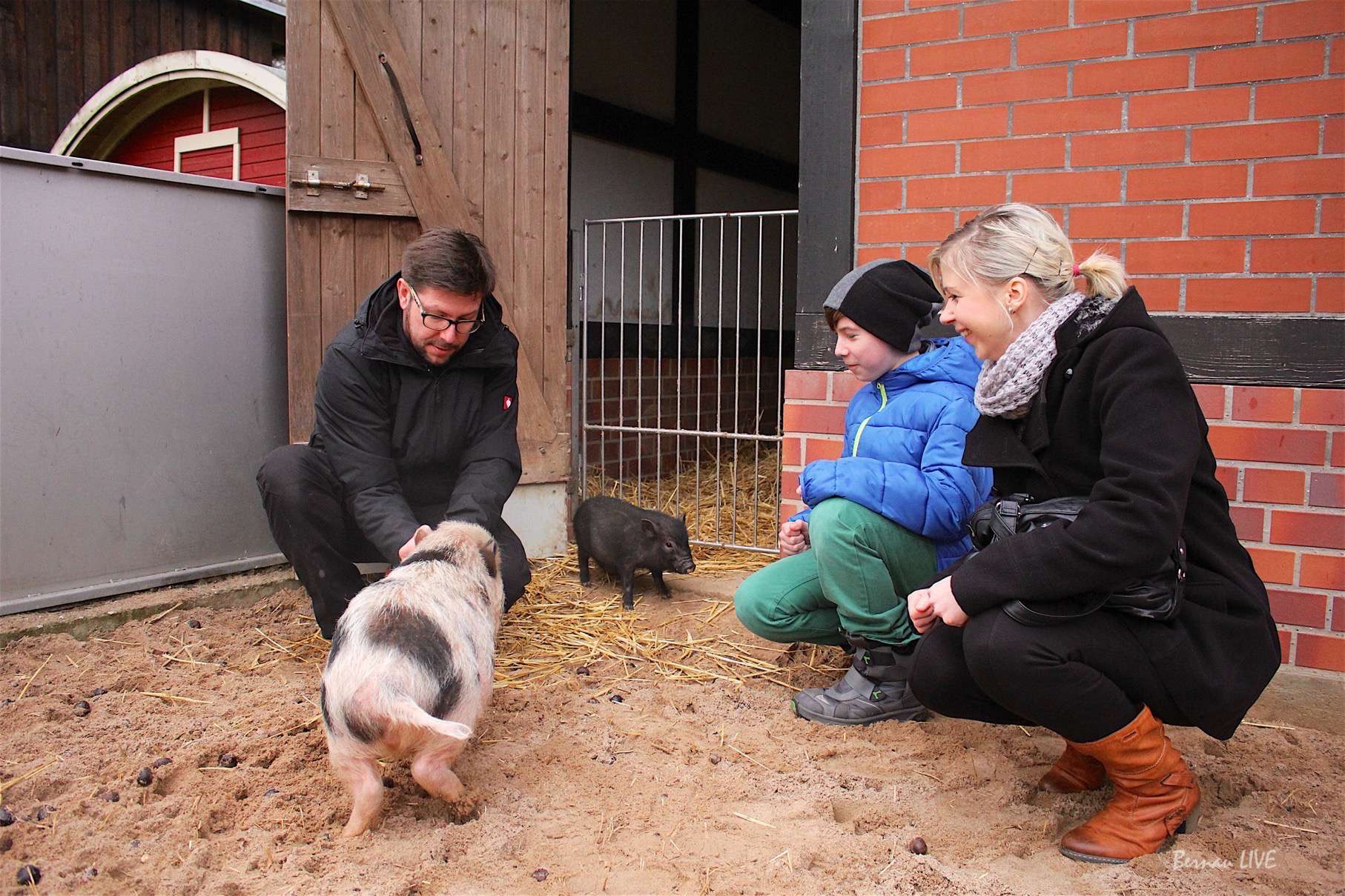 Bernau - Am gestrigen Freitag feierte der Tierschutzverein Niederbarnim e.V. mit rund 60 geladenen Gästen sein 25-jähriges Bestehen.