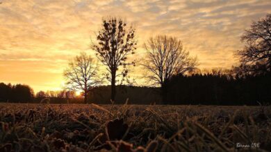 Bernau: Guten Morgen und Dank der Frau, die aus dem nirgendwo kam