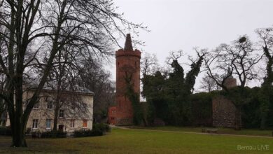 Bernau - Barnim - Stadtpark von Bernau