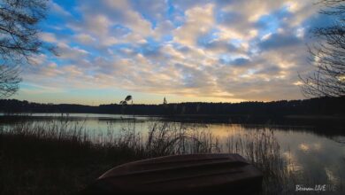 Bernau: Neuer Monat, neue Woche - guten Morgen!