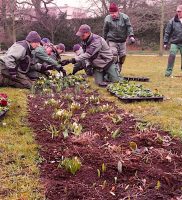 Frühling in der Stadt: Die Hoppe´s hübschen Bernau auf 5 017e3f5f-a3cf-418c-b0a7-5eb57372994f