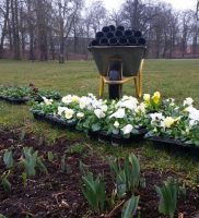 Frühling in der Stadt: Die Hoppe´s hübschen Bernau auf 6 031db636-0b63-4437-89b2-f2b189403323