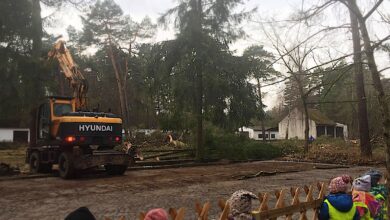 Bernau - Waldfrieden: Bäume weichen Flüchtingsunterkunft