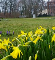 Frühling in der Stadt: Die Hoppe´s hübschen Bernau auf 4 50c65443-2436-48d3-80be-f5463c1da925