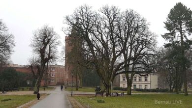 Bernau: Ach nö - was denn das fürn Wetter? Guten Morgen! 28 Bernau: Ach nö - was denn das fürn Wetter? Guten Morgen!