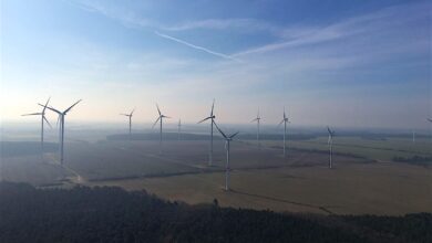 Bernau: Bernau: Schwindelfrei sollte man schon sein, wenn man seine Mittagspause in luftiger Höhe verbringt. Ist man dies, so wird man bei solch schönem Wetter mit einem atemberaubenden Ausblick belohnt.