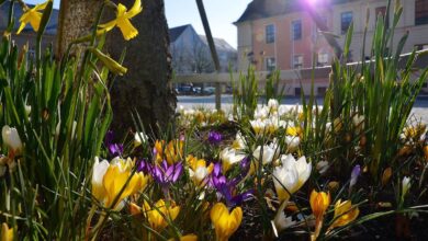 Bernau - Früühlingsanfang