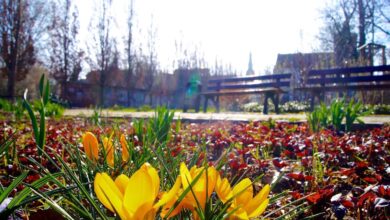 Wochenende mit vielen Veranstaltungen in Bernau und Drumherum