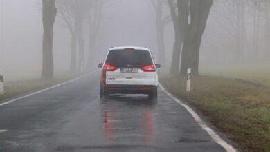 Heute um 19:50 - RBB Landschleicher in Lanke unterwegs 29 Bernau: RBB Landschleicher in Lanke unterwegs