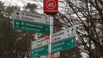 Bernau: Baumfällarbeiten Wandlitzer Chaussee