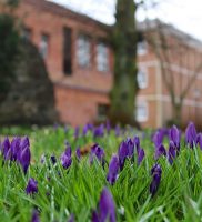 Frühling in der Stadt: Die Hoppe´s hübschen Bernau auf 10 IMG_4767