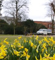 Frühling in der Stadt: Die Hoppe´s hübschen Bernau auf 7 IMG_4776