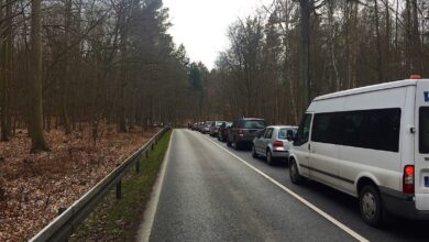 Stau - Baumfällarbeiten Spechthausen