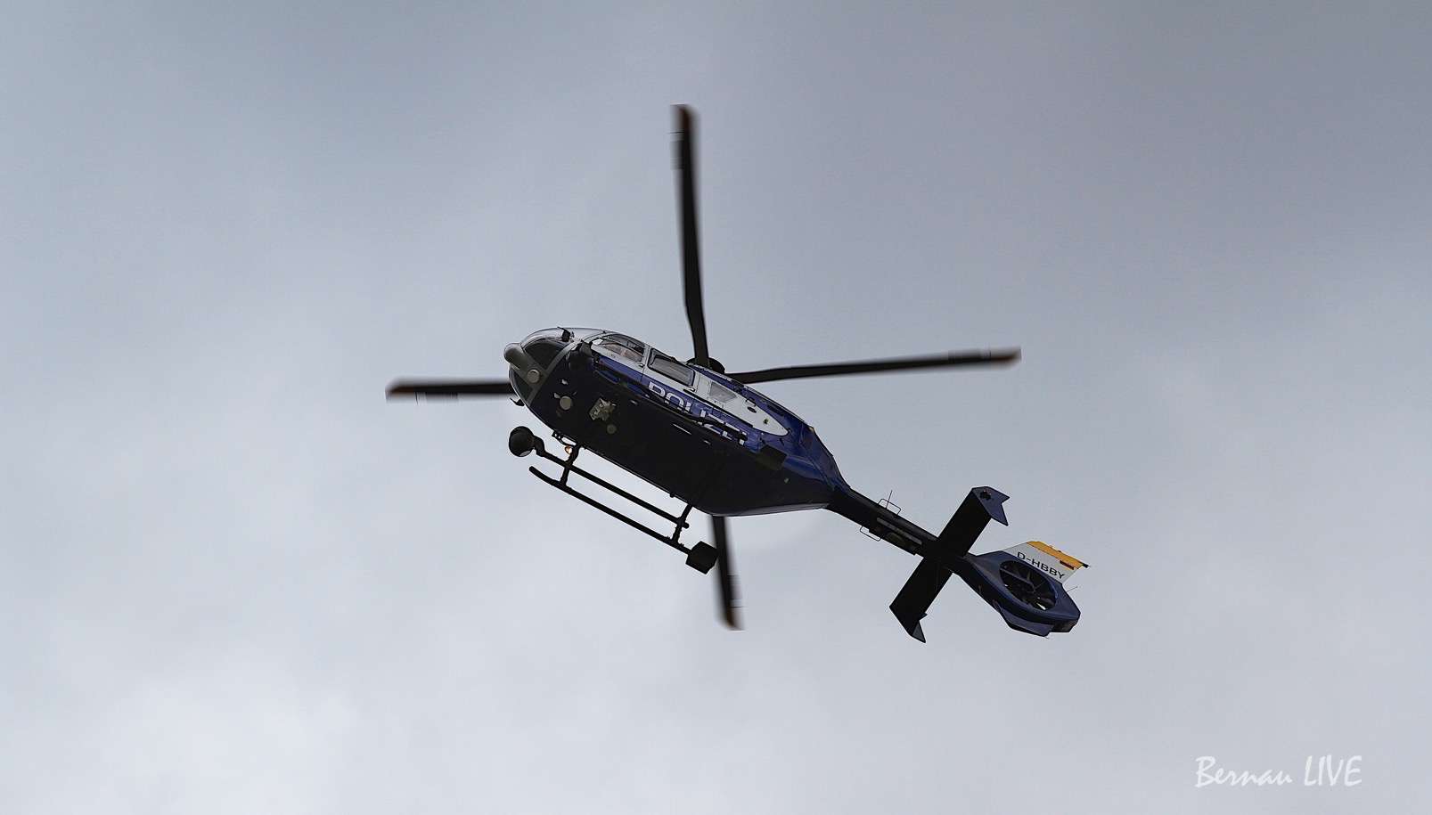 Bernau LIVE: Erfolg mit Hubschrauber und Polizeihunde - VW T5 in Bernau gestohlen