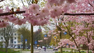 Bernau: Frühling