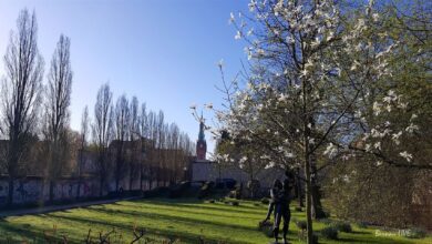 Bernau - Barnim: Willkommen in der neuen Woche 14 Frühling im Stadtpark Bernau