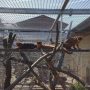 20160421_140416