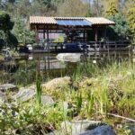 Tag des Artenschutzes: Wildkatzenzentrum Felidae in Tempelfelde 8 Wildkatzenzentrum Felidae