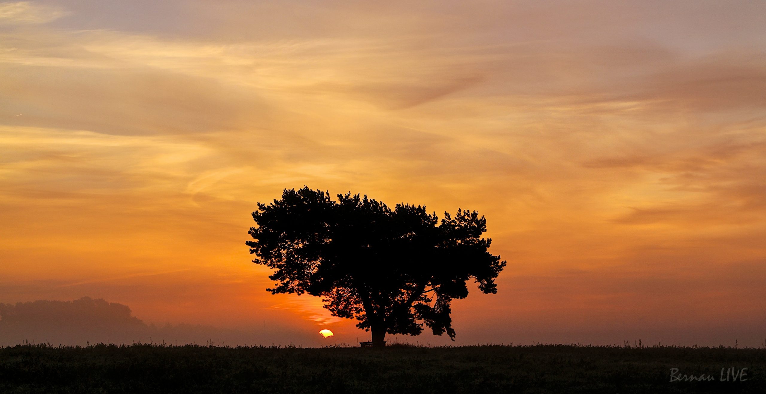 Schön, dass Du uns liest - Guten Morgen! 1 Bernau - Sonnenaufgang Lobetal