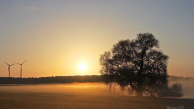 Bernau - Sonnenaufgang in Ladeburg