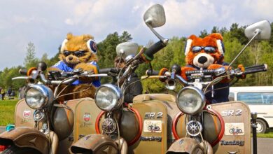 Simsontreffen Bernau - IFA und Simsontreffen in Bernau