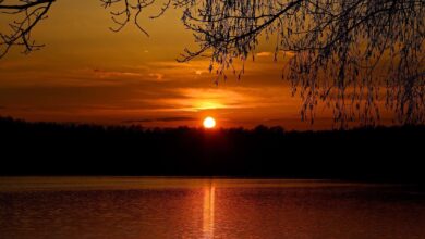 Bernau - Barnim: Sonnenuntergang am Gorinsee