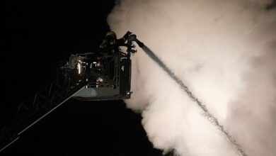 Brand in Schönerlinde