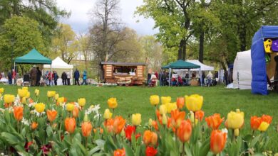 Kunst- und Handwerkermarkt In Bernau by Bernau LIVE