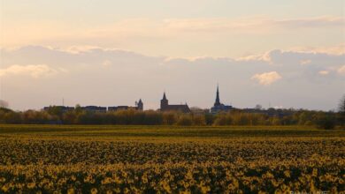 Bernau - Panorama Raps