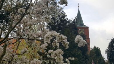 Bernau - Frühling - Kirche