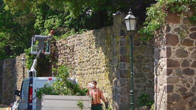 Bernau: Sanierung der Stadtmauer